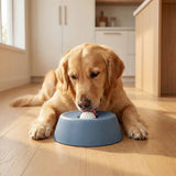 Lick & Roll Slow Feeder Bowl (New Design!)